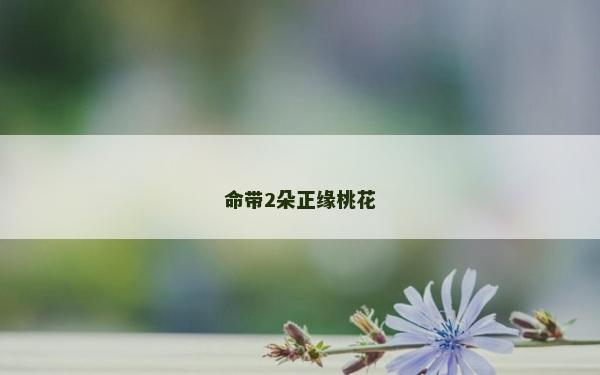 命带2朵正缘桃花