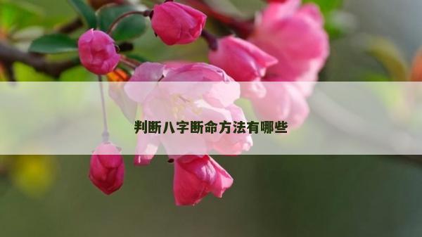 判断八字断命方法有哪些
