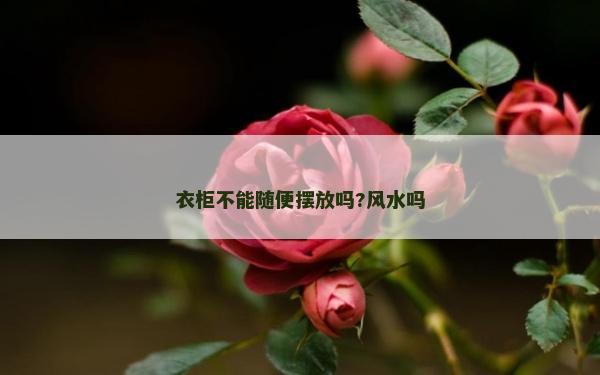 衣柜不能随便摆放吗?风水吗