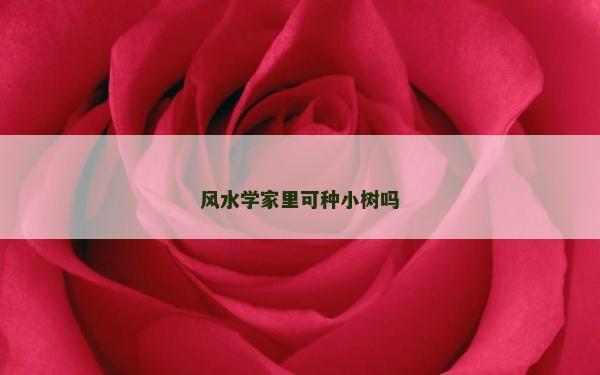 风水学家里可种小树吗