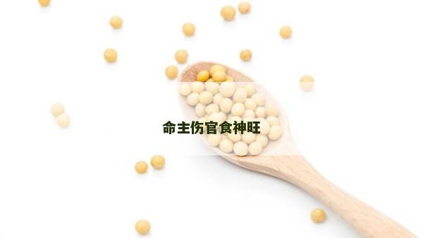 命主伤官食神旺