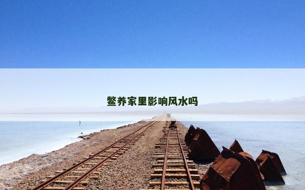 鳖养家里影响风水吗