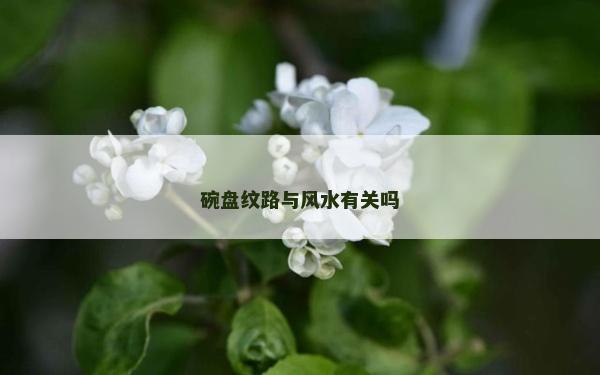 碗盘纹路与风水有关吗