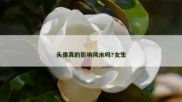 头像真的影响风水吗?女生