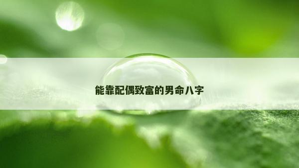 能靠配偶致富的男命八字