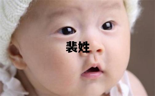 裴姓独特优美的女孩名字
