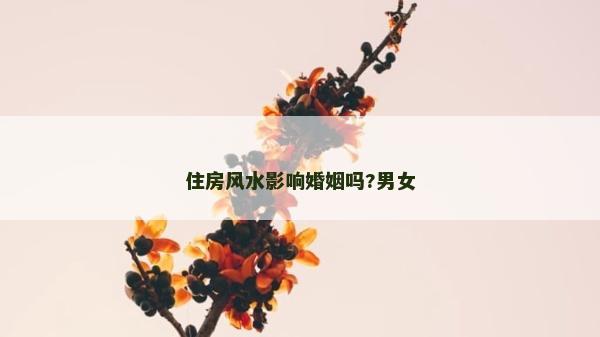 住房风水影响婚姻吗?男女