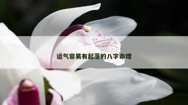 运气容易有起落的八字命理