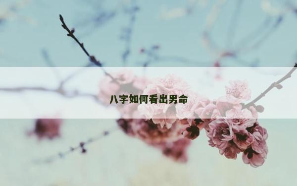 八字如何看出男命