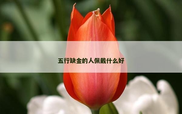 五行缺金的人佩戴什么好