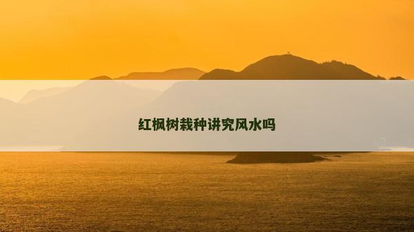 红枫树栽种讲究风水吗