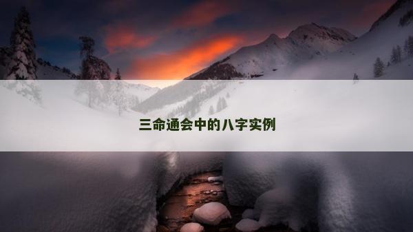 三命通会中的八字实例
