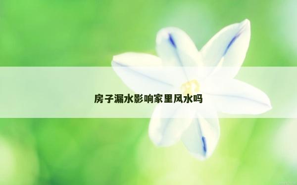 房子漏水影响家里风水吗