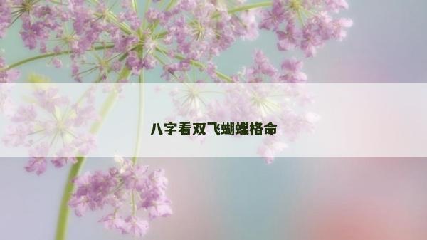 八字看双飞蝴蝶格命