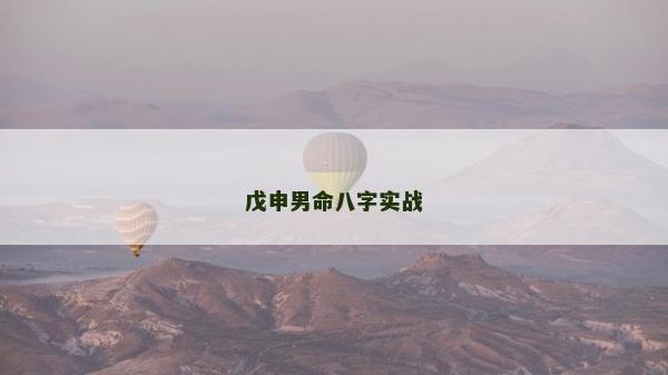 戊申男命八字实战
