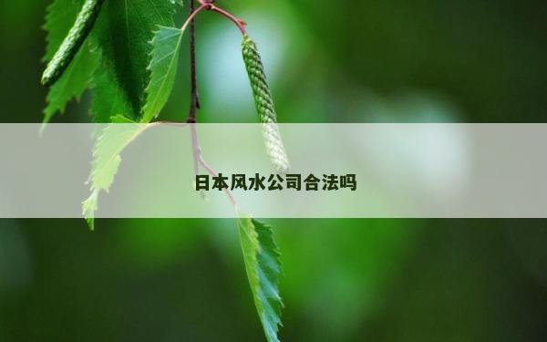 日本风水公司合法吗