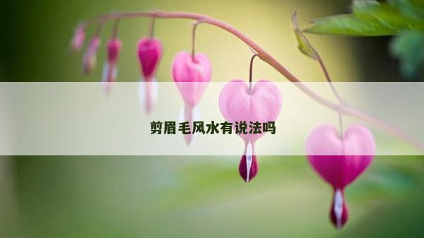 剪眉毛风水有说法吗