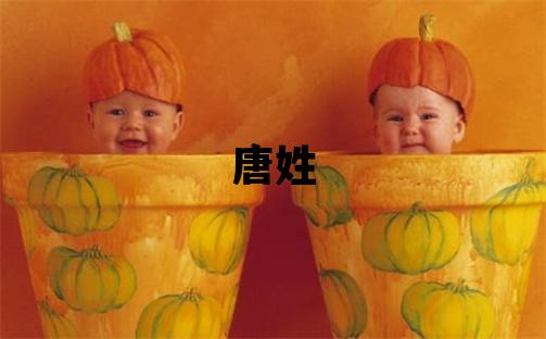 唐姓有创意的女宝宝名字