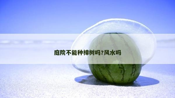 庭院不能种樟树吗?风水吗