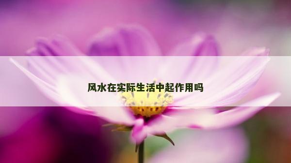 风水在实际生活中起作用吗