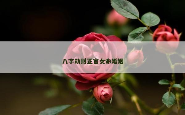 八字劫财正官女命婚姻