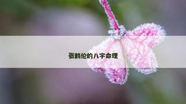 张鹤伦的八字命理