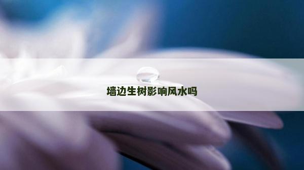 墙边生树影响风水吗