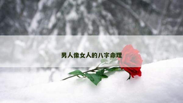 男人像女人的八字命理