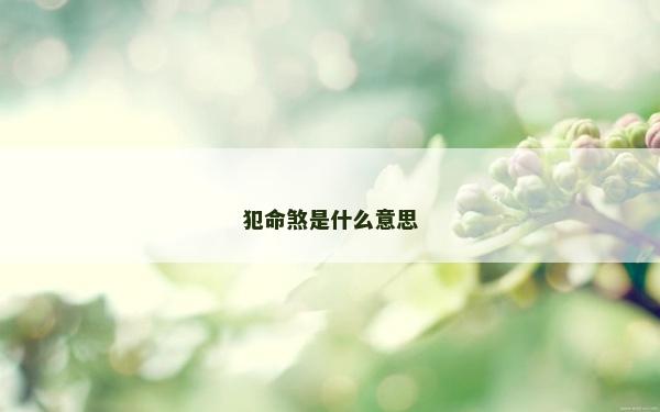 犯命煞是什么意思