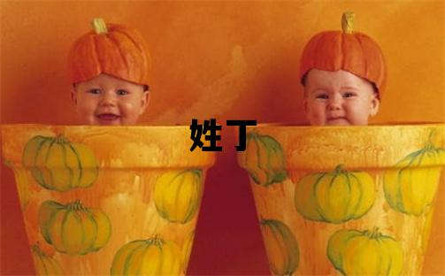 姓丁叫什么名字好 姓丁的男孩有含义的名字