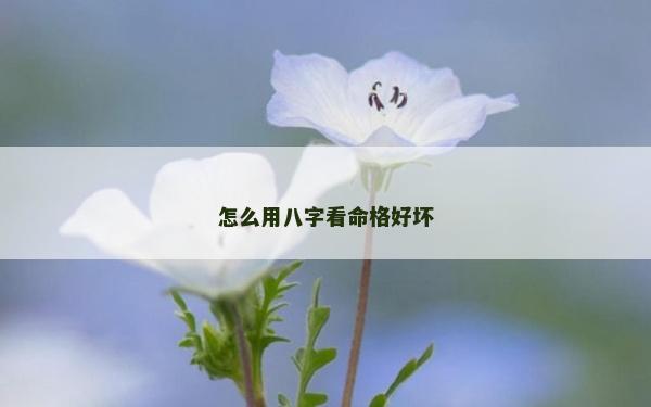 怎么用八字看命格好坏