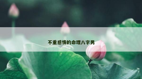 不重感情的命理八字男
