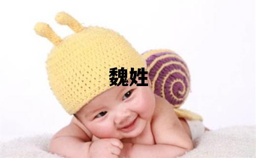 魏姓取名有含义的女宝宝名字