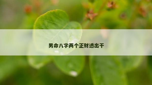 男命八字两个正财透出干