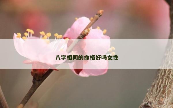 八字相同的命格好吗女性
