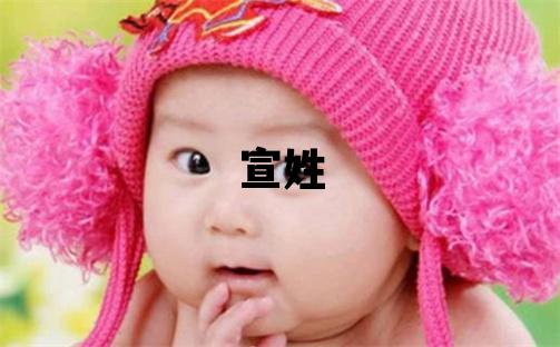 宣姓有涵养的女宝宝名字