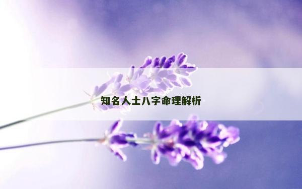 知名人士八字命理解析