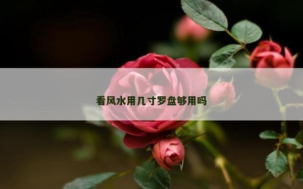 看风水用几寸罗盘够用吗