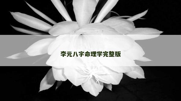 李元八字命理学完整版