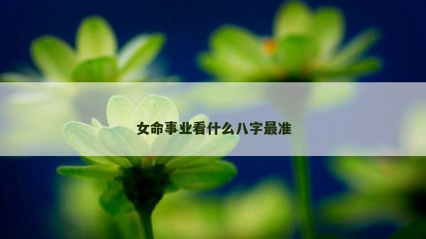 女命事业看什么八字最准