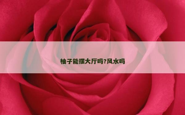 柚子能摆大厅吗?风水吗