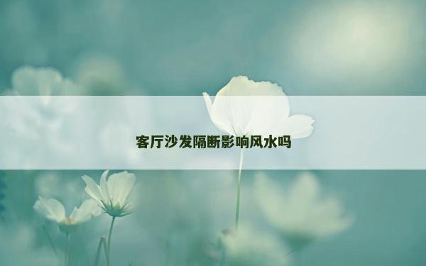 客厅沙发隔断影响风水吗