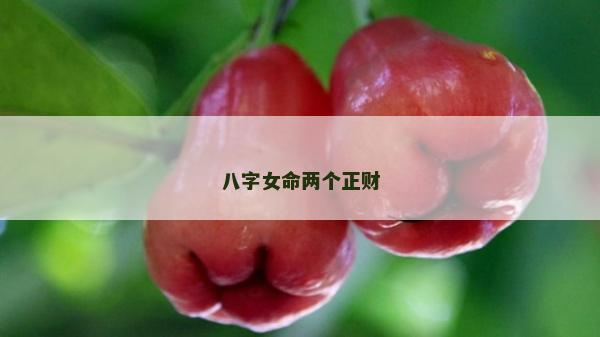 八字女命两个正财