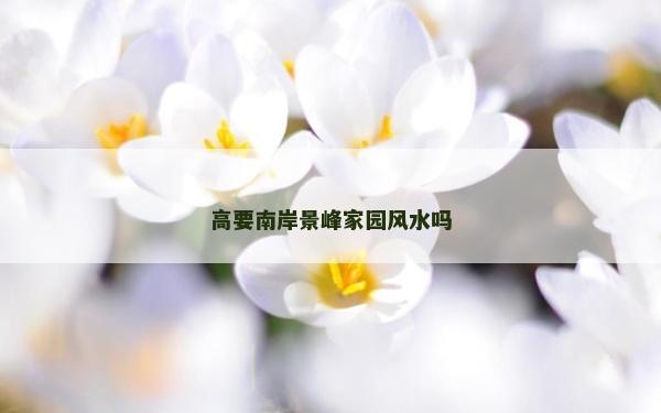 高要南岸景峰家园风水吗