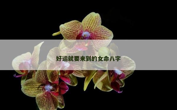 好运就要来到的女命八字