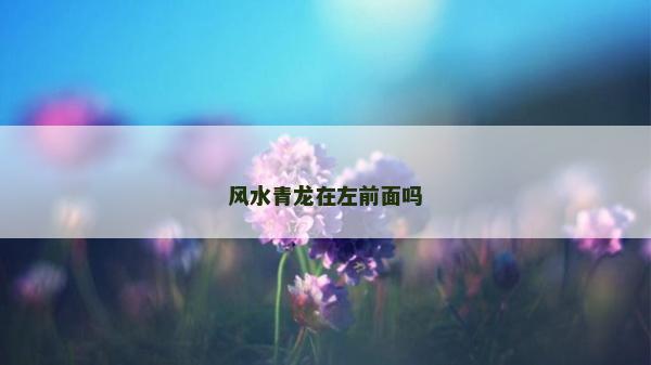 风水青龙在左前面吗