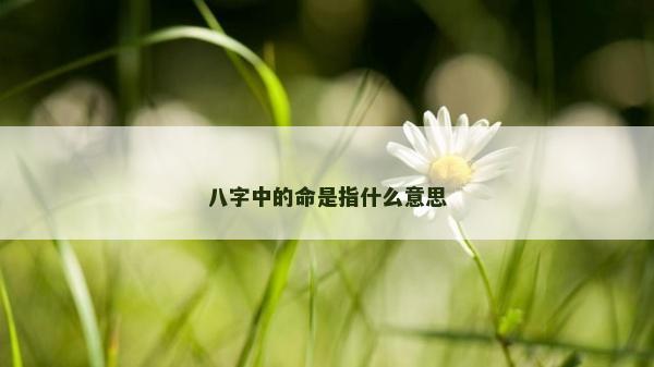 八字中的命是指什么意思