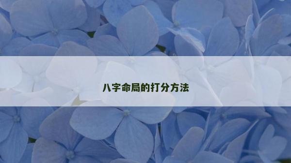 八字命局的打分方法