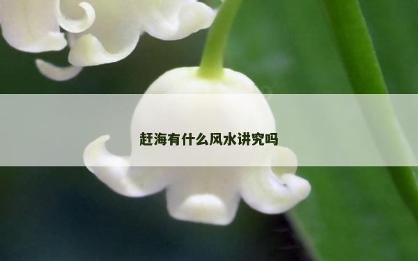 赶海有什么风水讲究吗