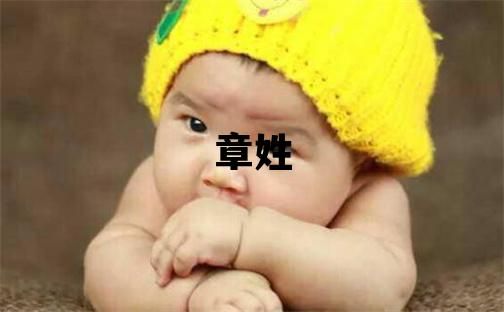 章姓优美大方的男孩名字,取什么名字好